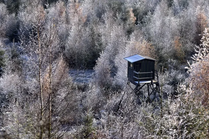 Framed Print : Ripened mixed forest with larches and beeches and a raised hide in the Hunsruck-Hochwald National Park in winter