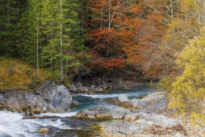 Framed Print : The Riss creek flowing through an autumnal landscape in the Eng valley Framed Print : The Riss creek flowing through an autumnal landscape in the Eng valley
