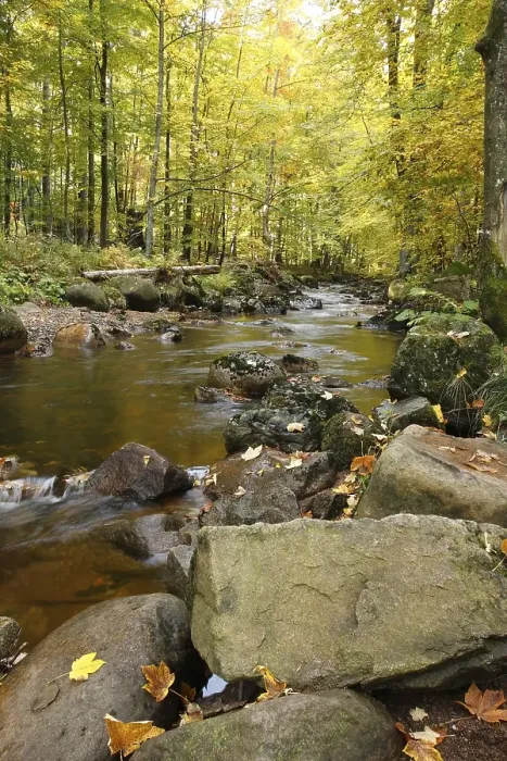 Framed Print : River Bode in the Harz mountains Framed Print : River Bode in the Harz mountains