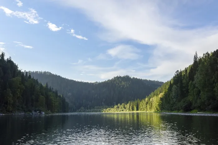 Framed Print : A river among a coniferous forest