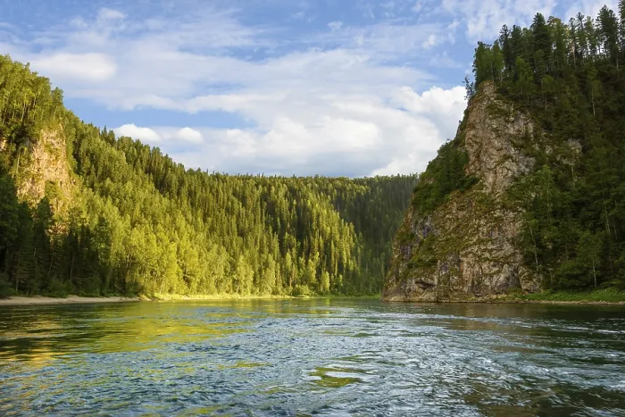 Framed Print : A river among a coniferous forest