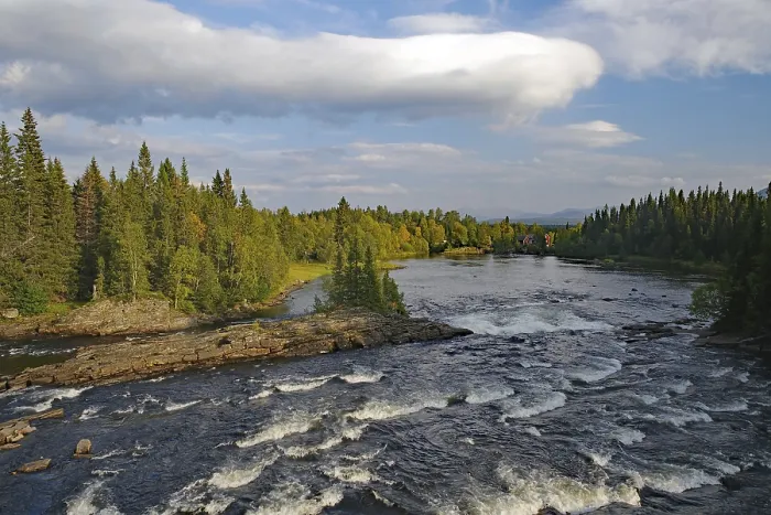Framed Print : River flowing through a dense coniferous forest under a partly cloudy sky