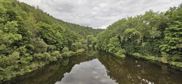 Framed Print : A river flows through a dense forest Framed Print : A river flows through a dense forest