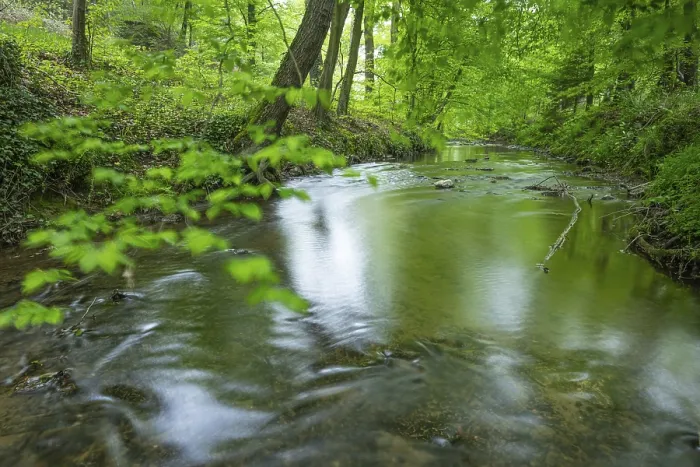 Framed Print : The river Hunte near Barkhausen in the spring-like beech forest Framed Print : The river Hunte near Barkhausen in the spring-like beech forest