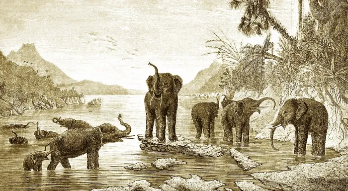 Framed Print : The River Mekong is the world's 12th-longest river