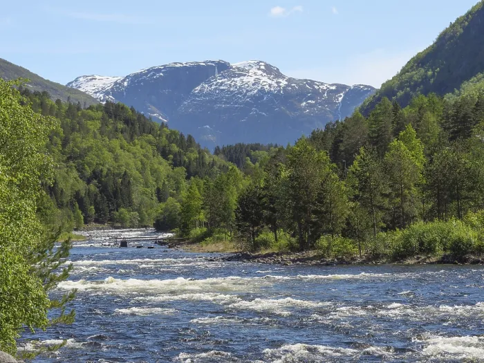 Framed Print : River in mountainous landscape with snow-capped peaks and green forests under blue sky Framed Print : River in mountainous landscape with snow-capped peaks and green forests under blue sky