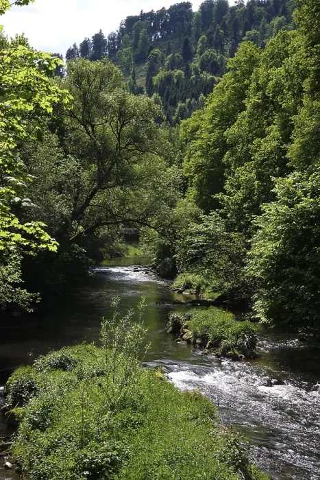 Framed Print : River Nagold in the Black Forest Framed Print : River Nagold in the Black Forest