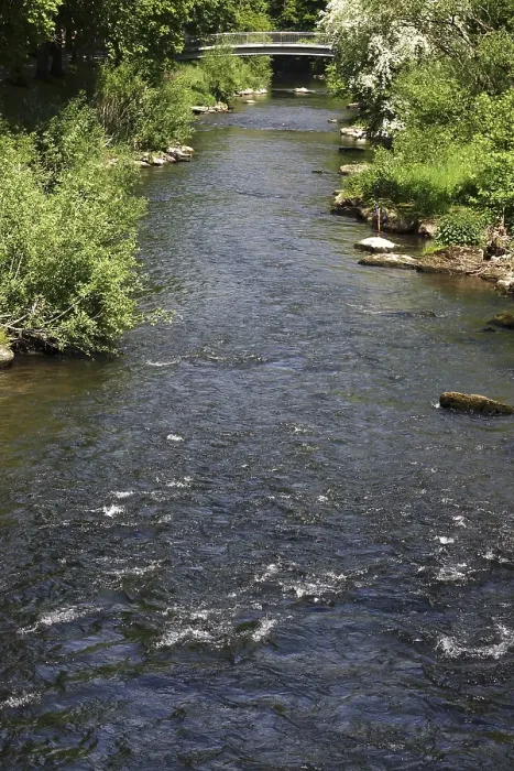 Framed Print : River Nagold in the Black Forest