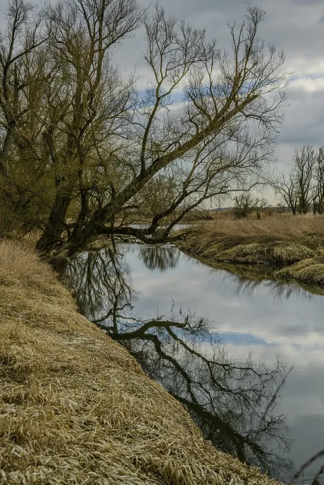 Framed Print : A river with reflecting trees and cloudy sky