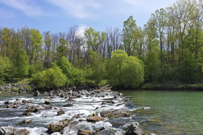Framed Print : River with running water and surrounding trees and stones