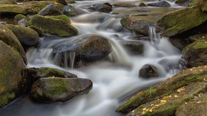 Framed Print : River Vydra, moss covered stones Framed Print : River Vydra, moss covered stones