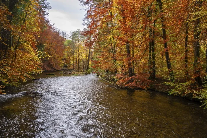Framed Print : River Wurm, yellow and red coloured trees in autumn Framed Print : River Wurm, yellow and red coloured trees in autumn