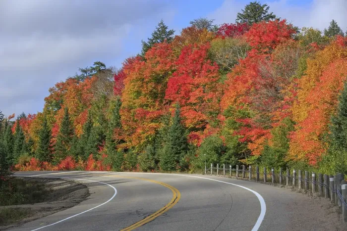 Framed Print : Road through autumn forest, Algonquin Provincial Park