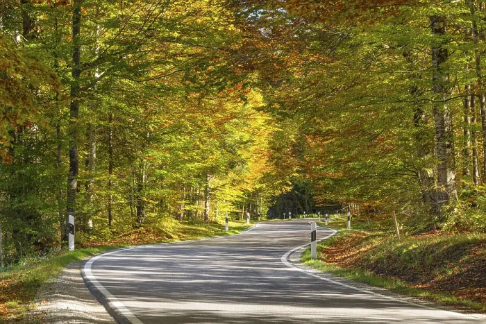 Framed Print : Road through autumnal forest, Upper Bavaria Framed Print : Road through autumnal forest, Upper Bavaria
