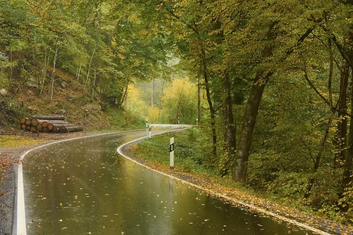 Framed Print : Road, bend, rain, leaves, autumn Framed Print : Road, bend, rain, leaves, autumn