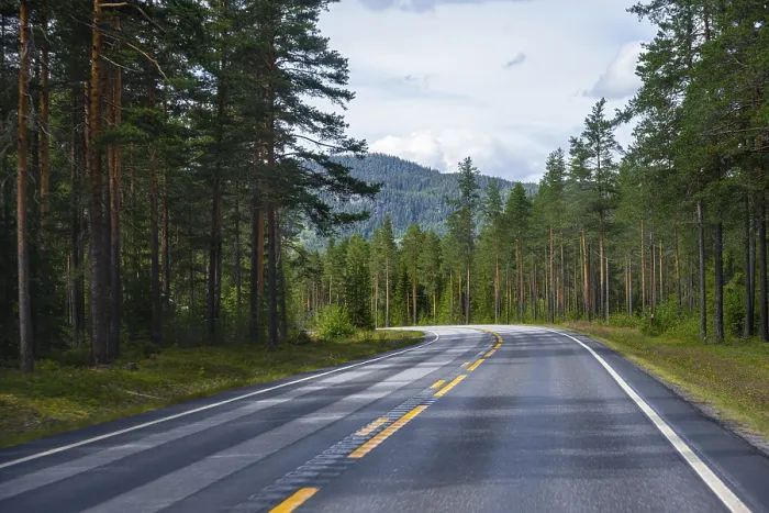 Framed Print : Road through coniferous forest