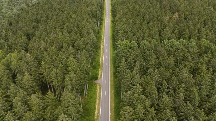 Framed Print : Road through forest, aerial view