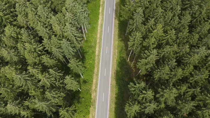 Framed Print : Road through forest, aerial view Framed Print : Road through forest, aerial view