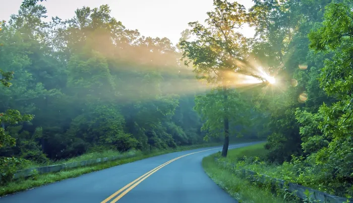 Framed Print : Road through forest with light beams and sun rays through green trees
