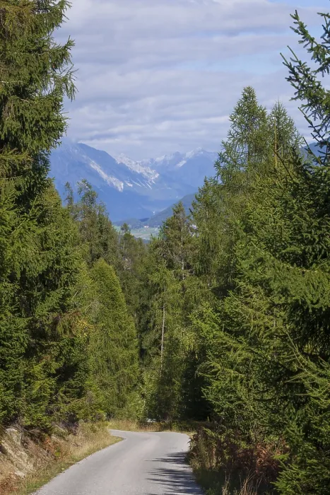 Framed Print : Road in the forest with a view of the Karwendel North Range