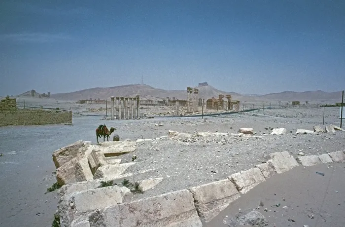 Framed Print : Road from Hadrian's Gate to the Temple of Bel, Colonnade, Palmyra, Syria, May 1987, vintage, retro, old, historical, Asia Framed Print : Road from Hadrian's Gate to the Temple of Bel, Colonnade, Palmyra, Syria, May 1987, vintage, retro, old, historical, Asia