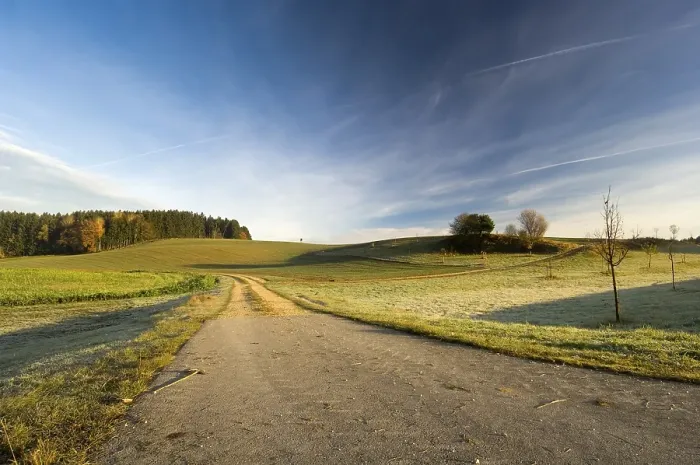 Framed Print : Road into a landscape of fields and woods