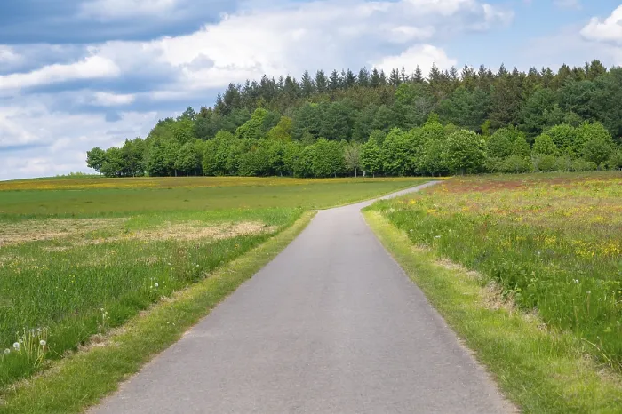 Framed Print : Road through meadow, field and forest in spring