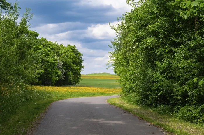 Framed Print : Road through meadow, field and forest in spring Framed Print : Road through meadow, field and forest in spring