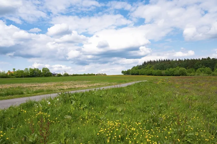 Framed Print : Road through meadow, field and forest in spring Framed Print : Road through meadow, field and forest in spring