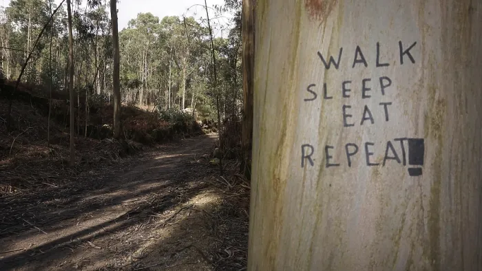 Framed Print : Roadside tree with the inscription Walk Sleep Eat Repeat in the forest Framed Print : Roadside tree with the inscription Walk Sleep Eat Repeat in the forest