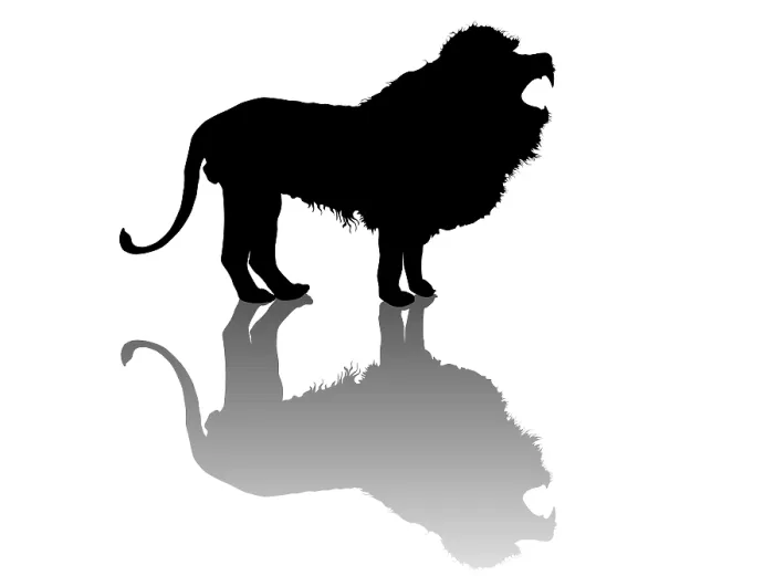 Framed Print : Roaring lion vector silhouette over white background