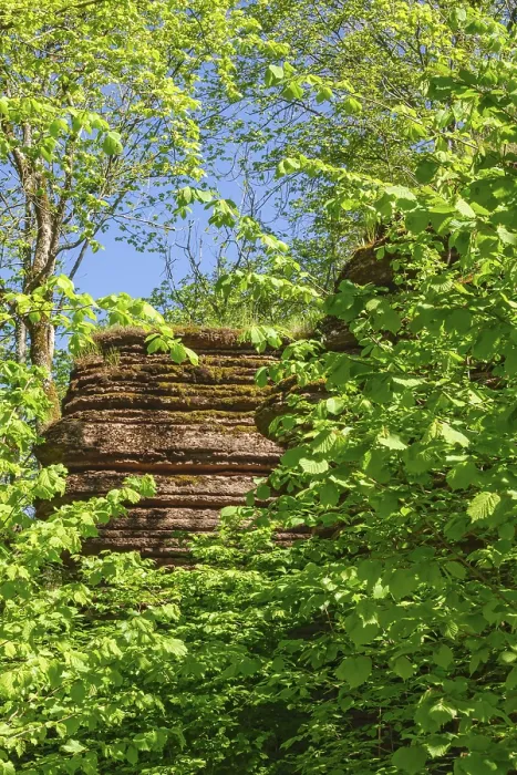 Framed Print : Rock face in a leafy forest at summer Framed Print : Rock face in a leafy forest at summer