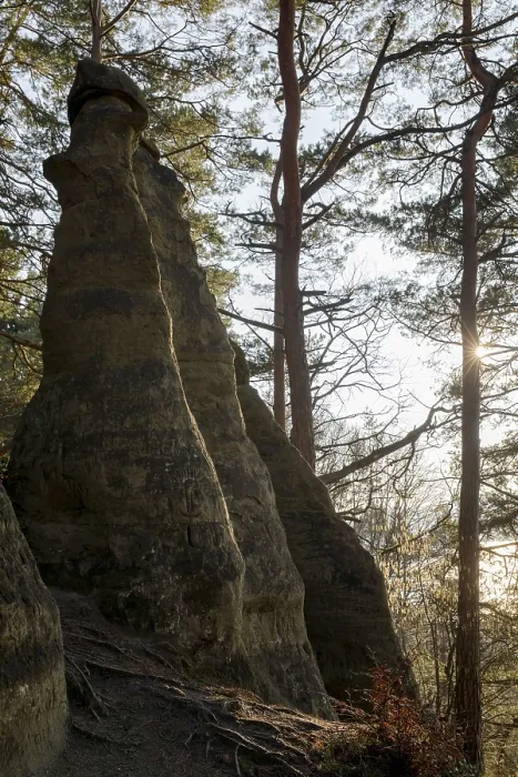 Framed Print : Rock formation in the forest illuminated by morning light through pine trees Framed Print : Rock formation in the forest illuminated by morning light through pine trees