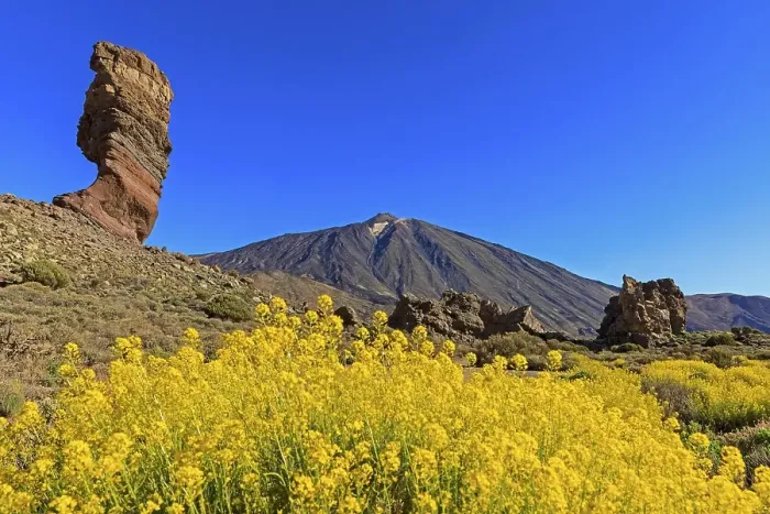 Framed Print : Rock formation Los Roques de Garcia in front of volcano Pico del Teide