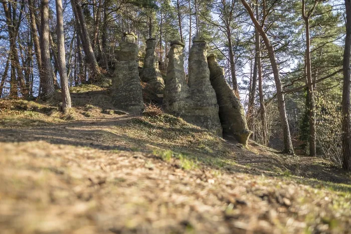 Framed Print : Rock pillars in the forest flooded with sunlight