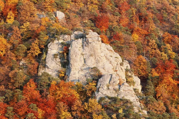 Framed Print : Rocks and autumnal mixed forest in the valley near Duernstein