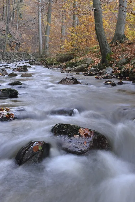 Framed Print : Rocks covered with foliage in the Ilse river
