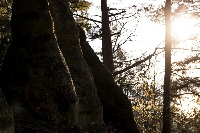 Framed Print : Rocks in shade, sun rays through trees in the background
