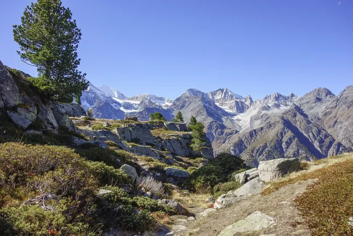 Framed Print : Rocks and trees in front of mountain peaks under blue sky
