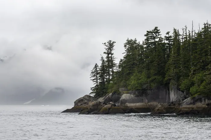 Framed Print : Rocky coast with coniferous forest Framed Print : Rocky coast with coniferous forest