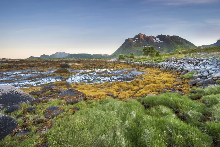 Framed Print : Rocky coast with grass and seaweed
