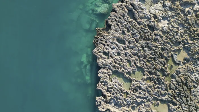 Framed Print : A rocky coast with its vegatation and inhabitants in Western Australia