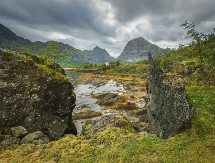 Framed Print : Rocky fjord bay overgrown with moss