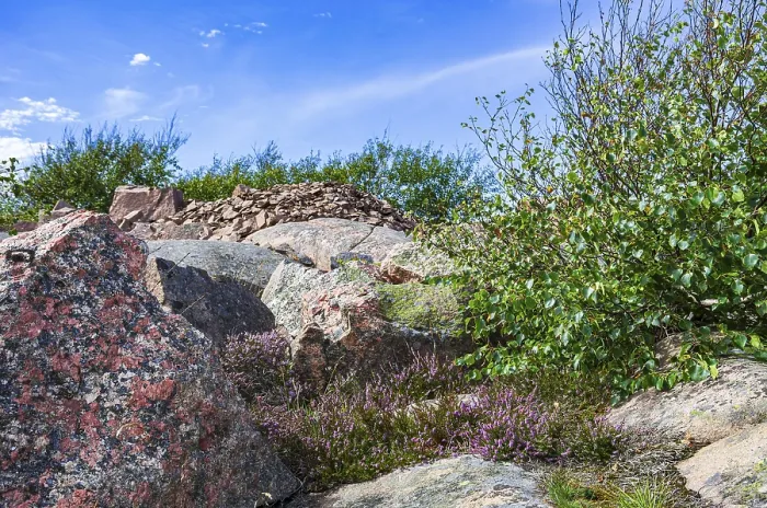 Framed Print : Rocky landscape of Bohusgranite and typical vegetation on the coast of Lysekil