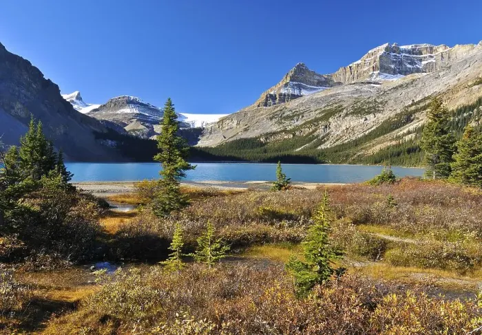 Framed Print : Rocky Mountains, Bow Lake, in the distance Framed Print : Rocky Mountains, Bow Lake, in the distance