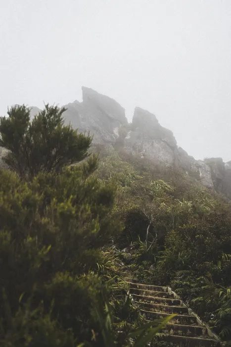 Framed Print : A rocky path leads through a misty mountain landscape with lush vegetation