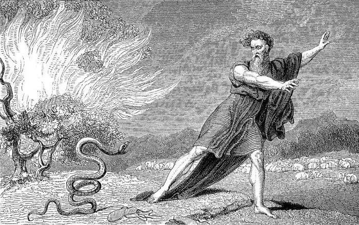 Framed Print : The rod becomes a serpent, Moses Framed Print : The rod becomes a serpent, Moses