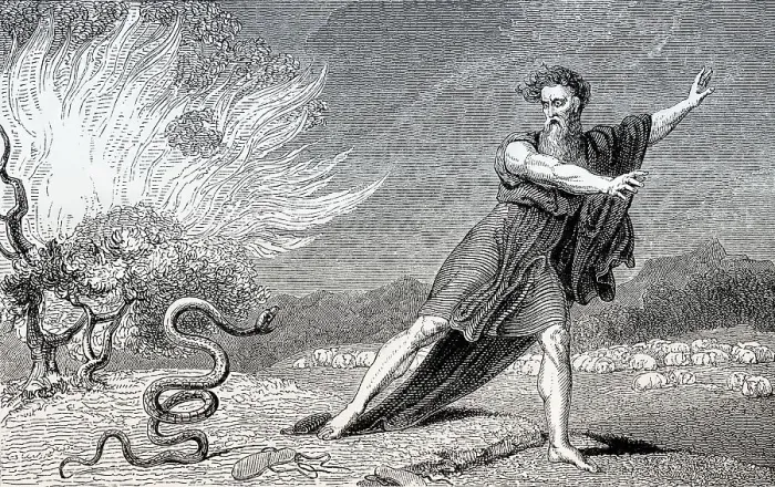 Framed Print : The rod becomes a serpent, Moses
