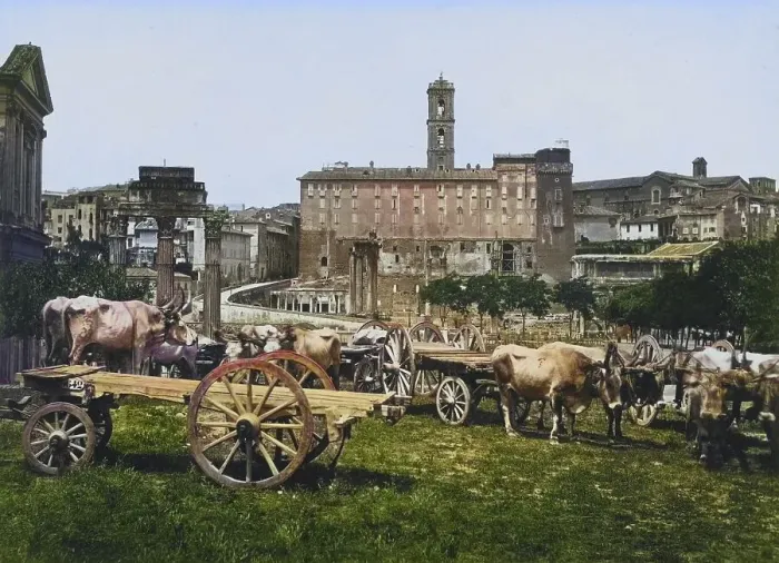 Framed Print : Roman Forum, seen from the Farnesi Garden Framed Print : Roman Forum, seen from the Farnesi Garden