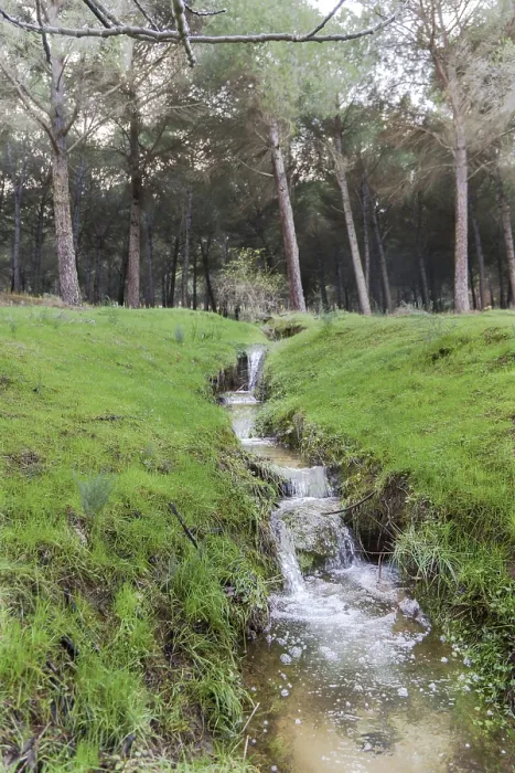 Framed Print : Ronda, malaga, spain Forest stream cascading over rock ledges through lush green woodland Framed Print : Ronda, malaga, spain Forest stream cascading over rock ledges through lush green woodland